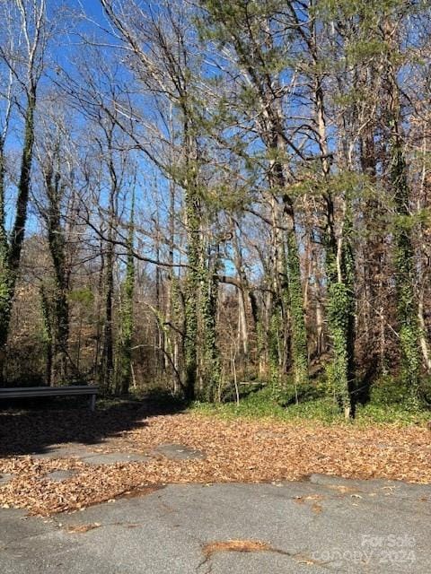 Listing photo 3 for LOT32 Starmount Dr, Statesville NC 28677