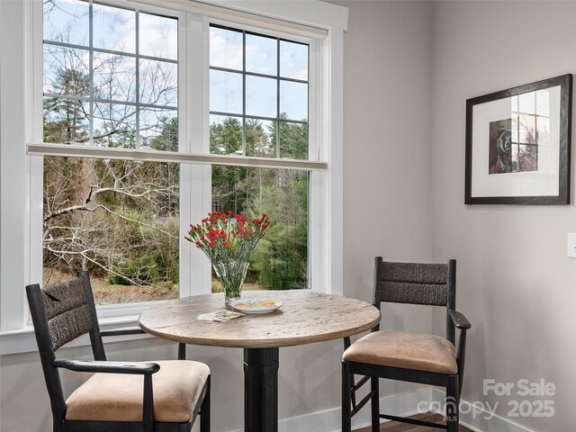 dining area featuring plenty of natural light and breakfast area