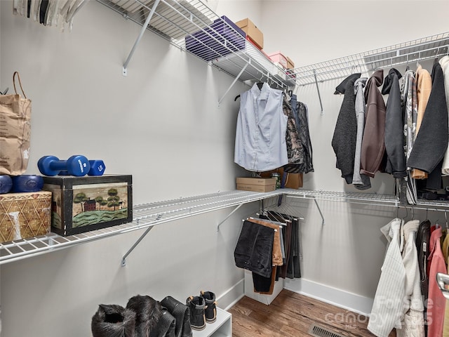 walk in closet featuring wood finished floors