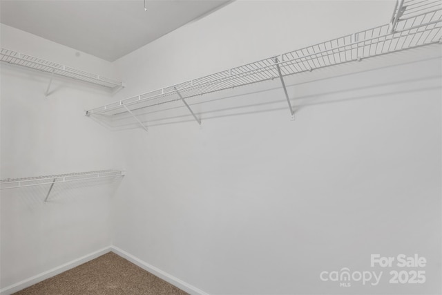 spacious closet with carpet floors