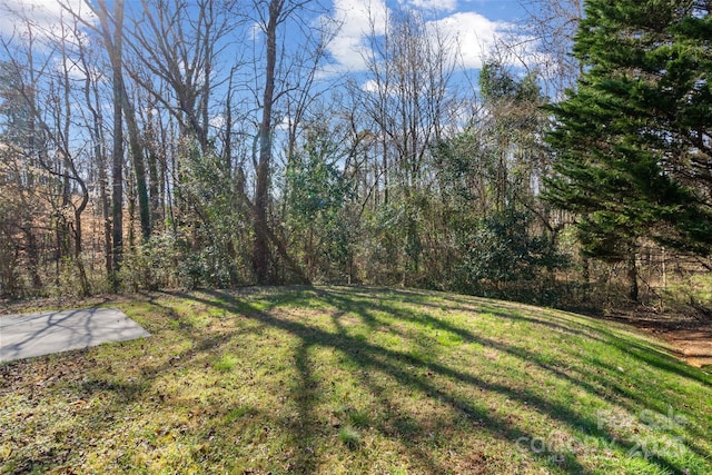 view of yard featuring a wooded view