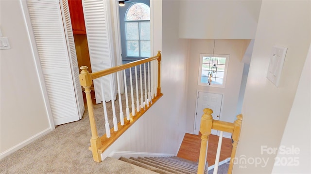 stairway with carpet floors