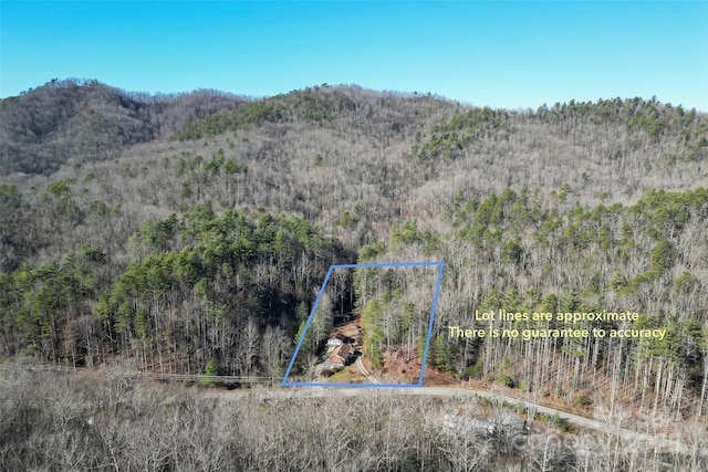 aerial view with a mountain view