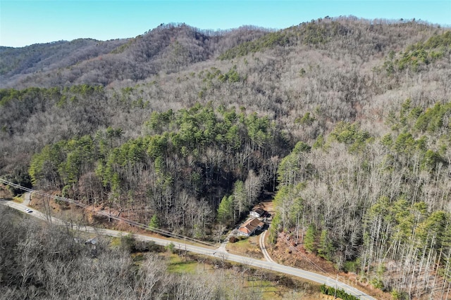 property view of mountains