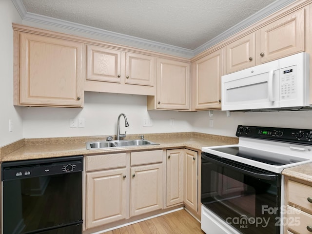 kitchen featuring light wood-type flooring, ornamental molding, a textured ceiling, white appliances, and sink