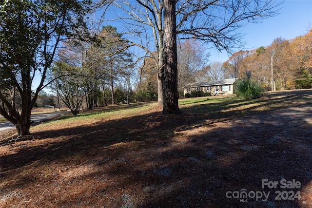 1022 Harper Keefe Rd, Indian Land, SC 29707 - photo 3