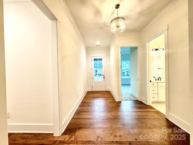 entryway featuring crown molding, dark wood-type flooring, and sink