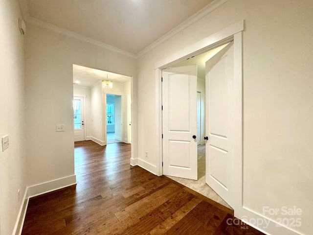 corridor with crown molding and dark wood-type flooring