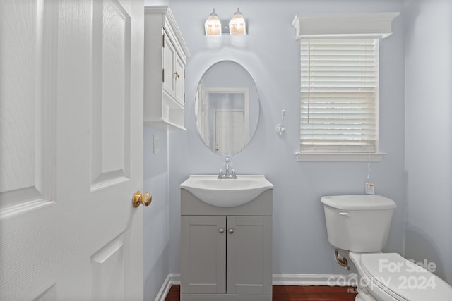 bathroom featuring vanity, toilet, and wood-type flooring