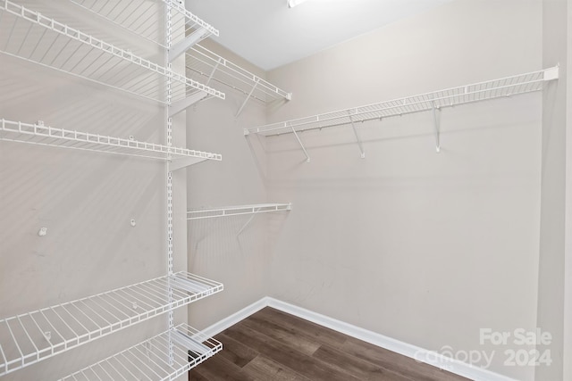 walk in closet with hardwood / wood-style flooring