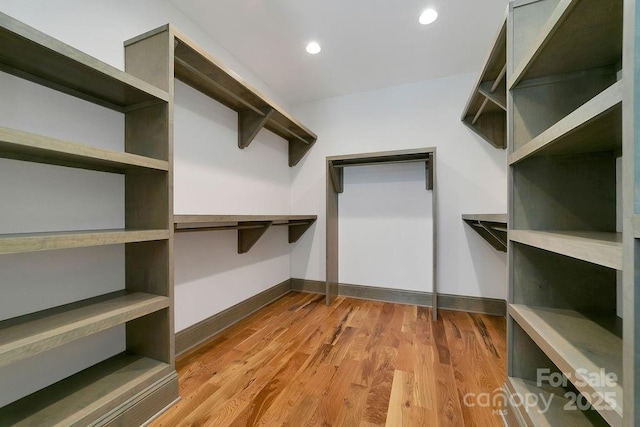 spacious closet featuring light wood-style floors