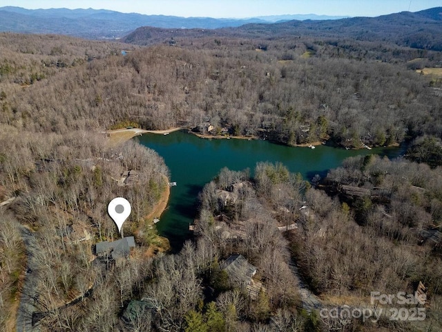 birds eye view of property featuring a wooded view and a water and mountain view