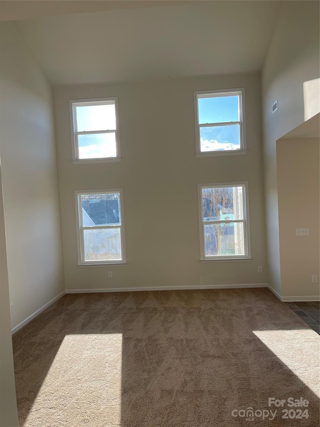 spare room featuring a healthy amount of sunlight and dark carpet