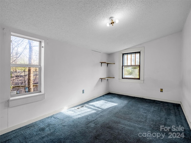 carpeted empty room with lofted ceiling and a textured ceiling