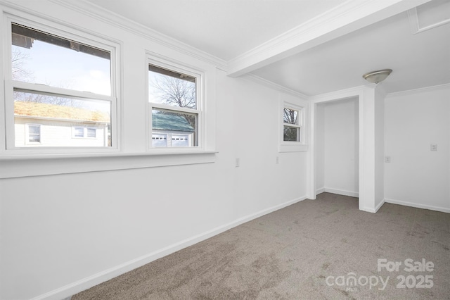 empty room with crown molding and carpet floors