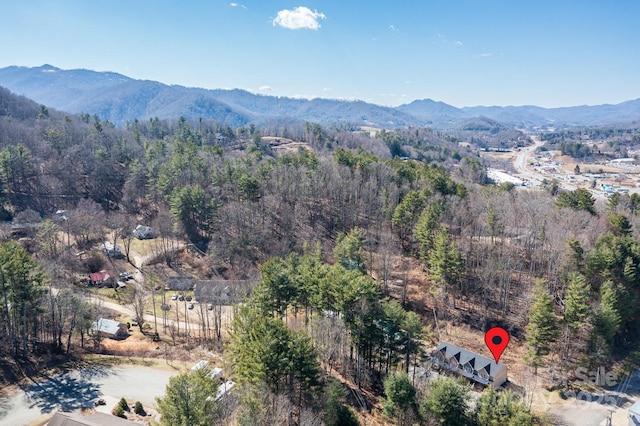 view of mountain feature with a wooded view