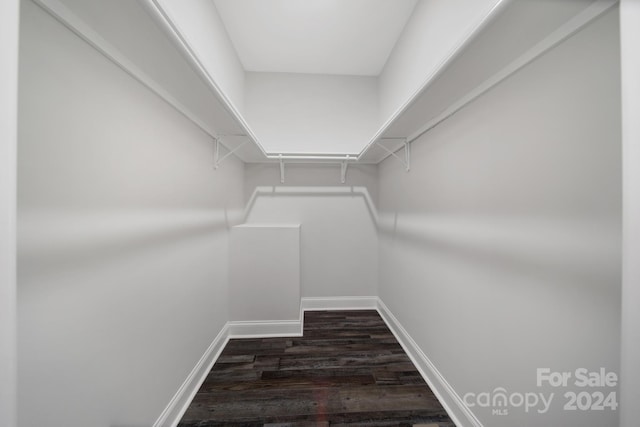 spacious closet with dark wood-type flooring