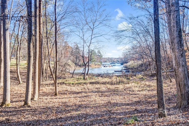 view of yard featuring a water view