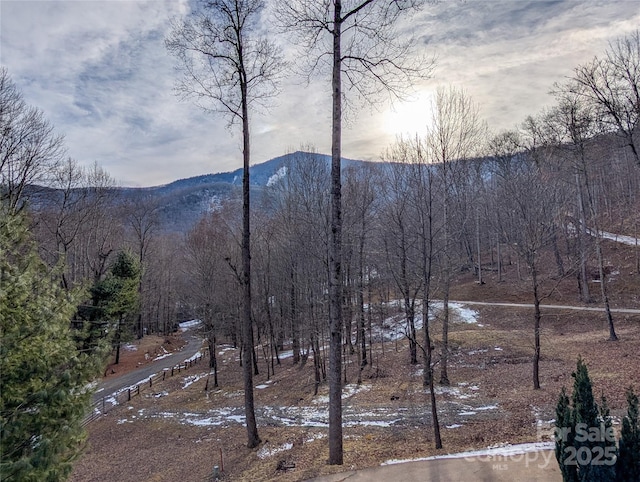 mountain view featuring a forest view