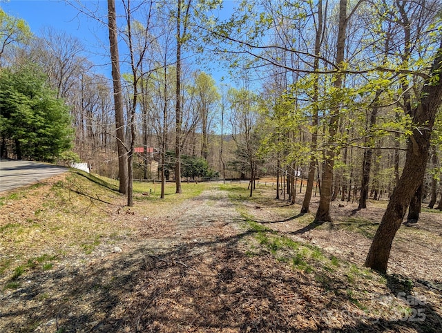 view of street featuring a forest view