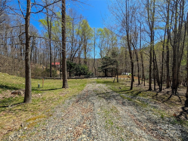 view of street with a view of trees