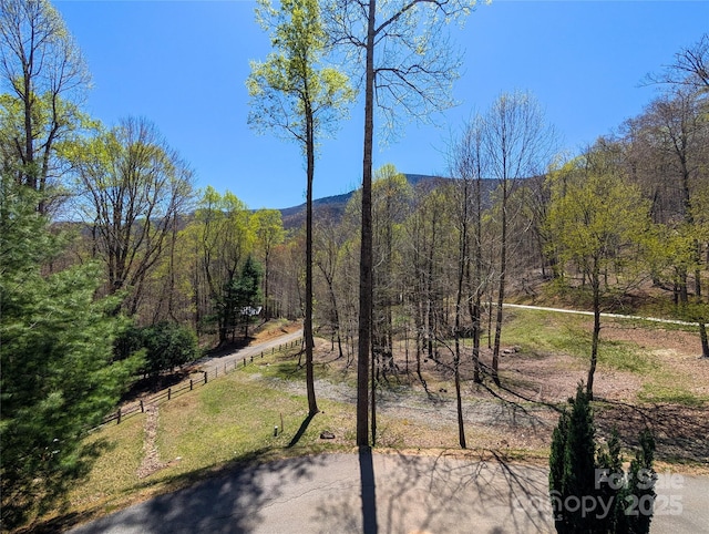 view of mountain feature with a forest view