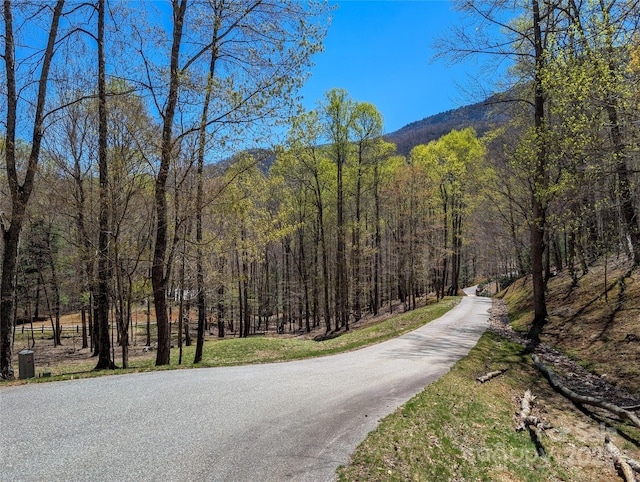 view of street featuring a wooded view