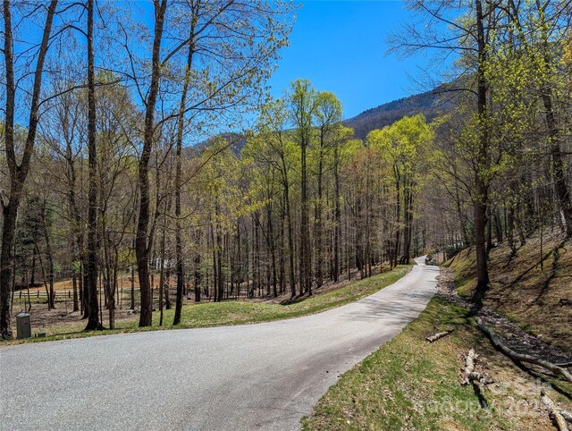 13 Miners Trace Rd, Burnsville, NC 28714 - photo 41