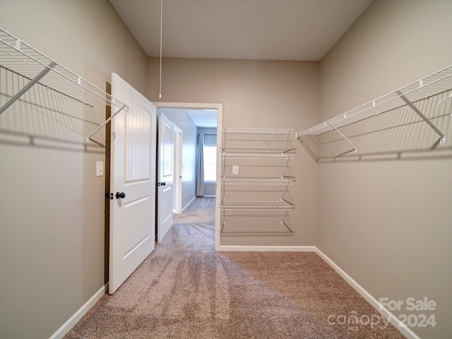 walk in closet featuring carpet floors