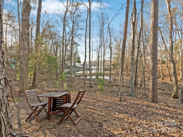 view of yard featuring a water view