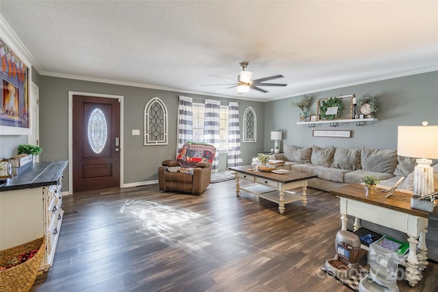 living room with dark hardwood / wood-style floors, ceiling fan, ornamental molding, and a textured ceiling