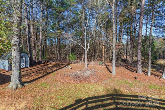 view of yard featuring a shed