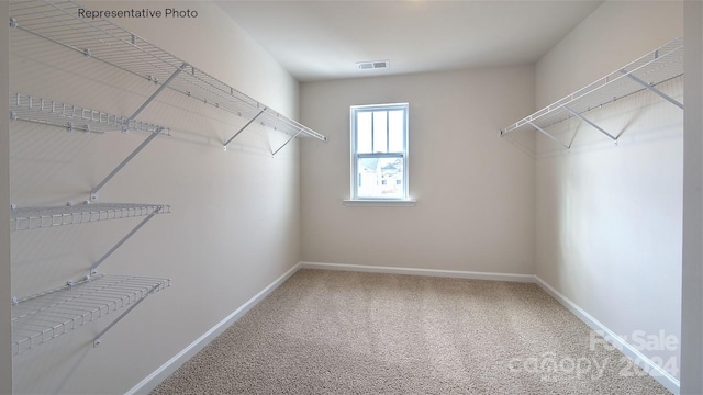 walk in closet featuring carpet