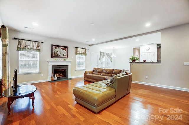 living room with light wood-type flooring