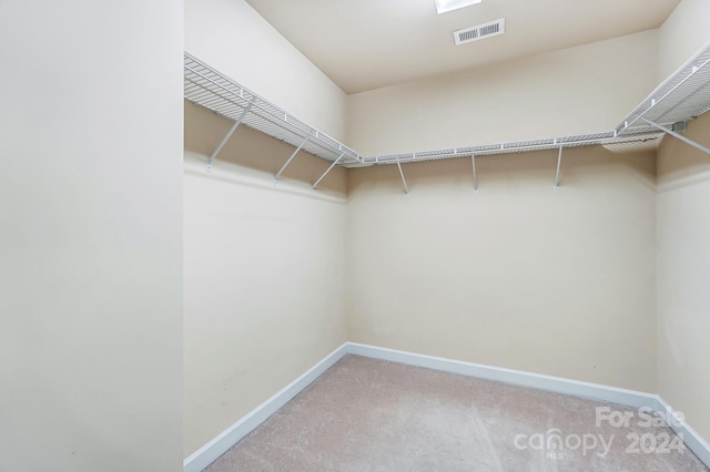 walk in closet with light carpet