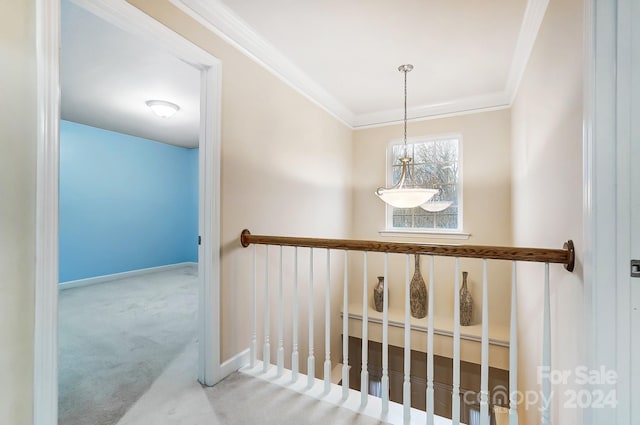 hall with carpet flooring and crown molding