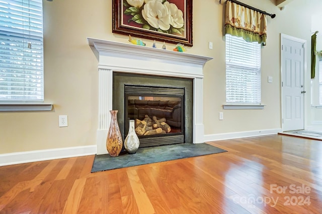 room details with wood-type flooring