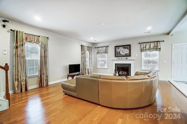 living room featuring a healthy amount of sunlight and light wood-type flooring