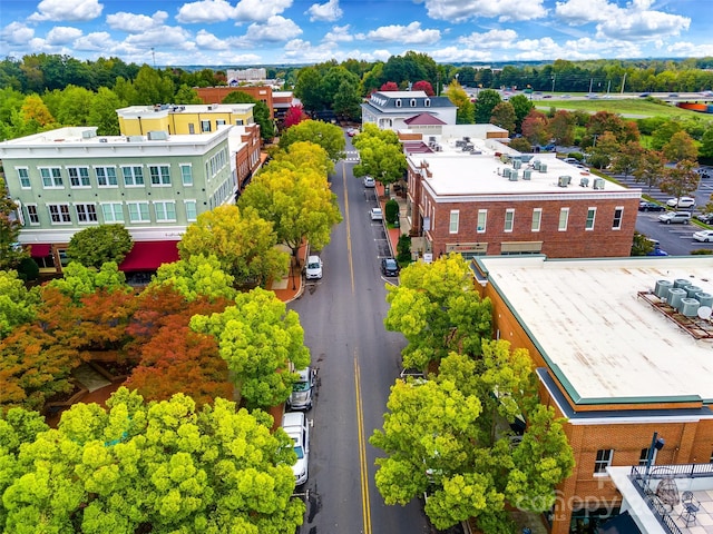 drone / aerial view