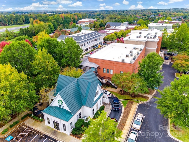 bird's eye view