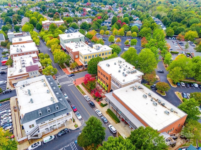 drone / aerial view