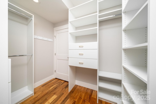 spacious closet featuring wood finished floors