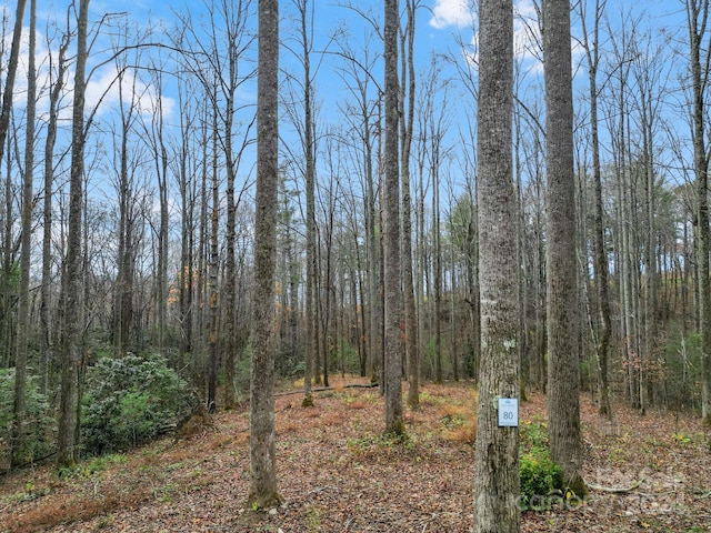 LOT80 Mountain Grove Ln Unit 80, Fletcher NC, 28732 land for sale