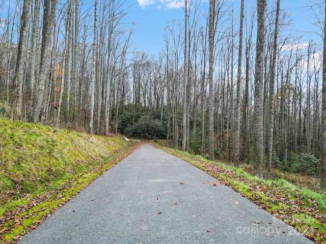 Listing photo 3 for LOT80 Mountain Grove Ln Unit 80, Fletcher NC 28732