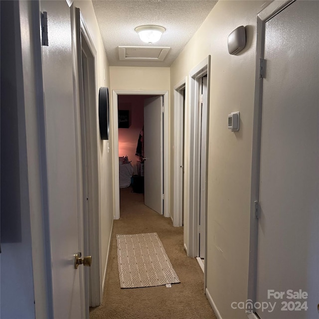 hall featuring light carpet and a textured ceiling