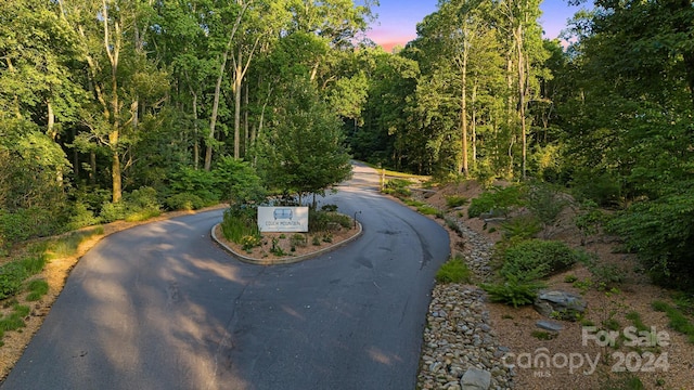 Listing photo 3 for LOT30 Trillium Garden Way, Fletcher NC 28732