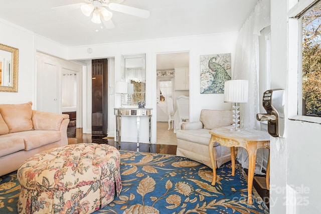 living room with ceiling fan, dark hardwood / wood-style floors, and a wealth of natural light