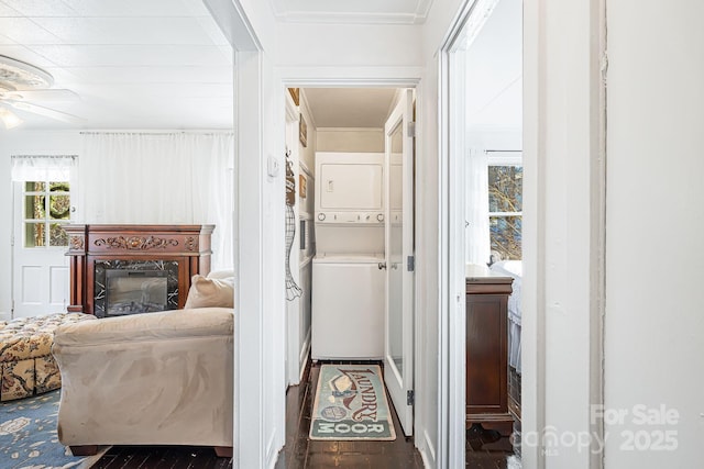 hall featuring dark wood-type flooring, crown molding, and stacked washer and dryer