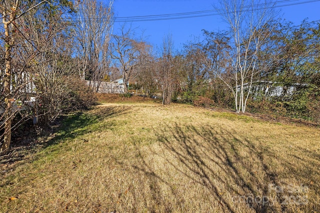 view of yard