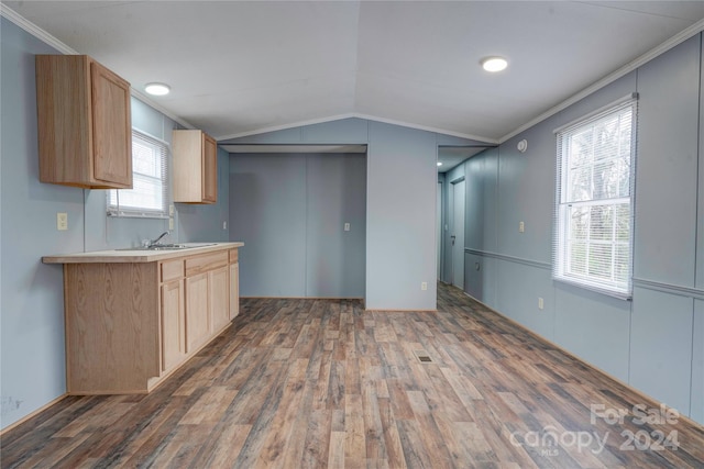 kitchen with ornamental molding, vaulted ceiling, dark wood-type flooring, a healthy amount of sunlight, and light brown cabinets